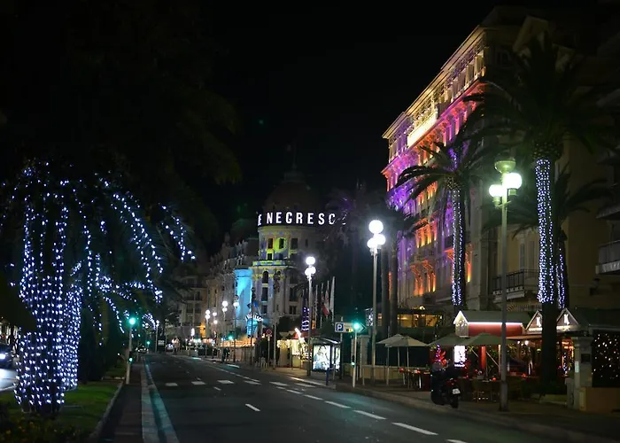 דירה 29 Promenade Des ניס